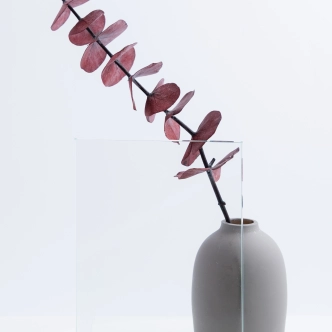 KARASTATUD KIRGAS KLAAS